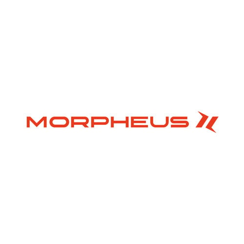 morpheus-logo-mittig_124_35_l